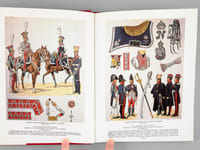 Les Polonais de Napoléon