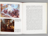 Les Polonais de Napoléon