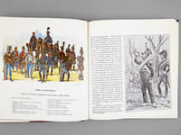 Napoléon et l'Autriche. La Campagne de 1809