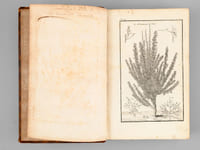 Description, vertus et usages de sept cents dix-neuf plantes, tant étrangères que de nos climats, et de cent trente-quatre animaux. Tome II : Plantes Indigènes (174 planches : 119 à 292 - et Texte d'explication des planches)