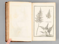 Description, vertus et usages de sept cents dix-neuf plantes, tant étrangères que de nos climats, et de cent trente-quatre animaux. Tome II : Plantes Indigènes (174 planches : 119 à 292 - et Texte d'explication des planches)