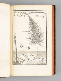 Description, vertus et usages de sept cents dix-neuf plantes, tant étrangères que de nos climats, et de cent trente-quatre animaux. Tome II : Plantes Indigènes (174 planches : 119 à 292 - et Texte d'explication des planches)
