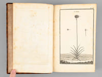 Description, vertus et usages de sept cents dix-neuf plantes, tant étrangères que de nos climats, et de cent trente-quatre animaux. Tome IV : Plantes Indigènes (177 planches : 467 à 643 - et Texte d'explication des planches)