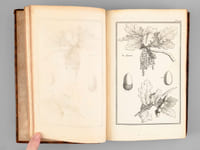 Description, vertus et usages de sept cents dix-neuf plantes, tant étrangères que de nos climats, et de cent trente-quatre animaux. Tome IV : Plantes Indigènes (177 planches : 467 à 643 - et Texte d'explication des planches)