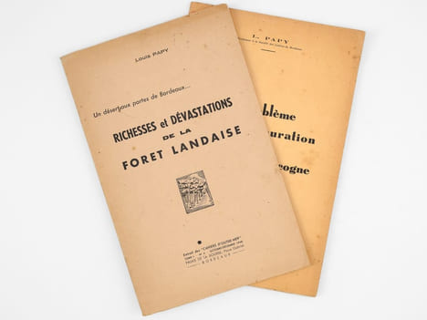 Richesses et dévastations de la forêt landaise. Un désert aux portes de Bordeaux [ On joint : ] Le Problème de la Restauration des Landes de Gascogne ...