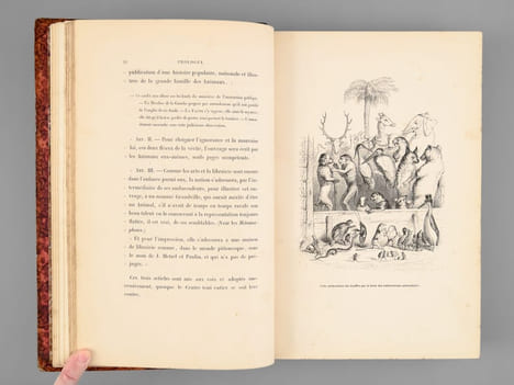 Scènes de la Vie Privée et Publique des Animaux. Etudes de Moeurs contemporaines (2 Tomes - Complet) [ Edition originale ]. GRANDVILLE ; STAHL, P.-J. ...