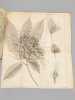 Abr&eacute;g&eacute; des Transactions philosophiques de la Soci&eacute;t&eacute; Royale de Londres. Botanique. Tome Premier [ Tome I seul ]. GIBELIN, Jacques