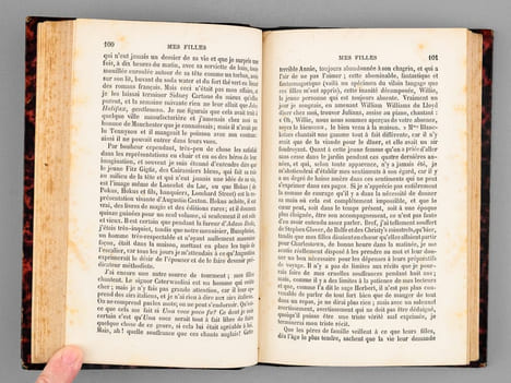 L'Intendant Ralph et autres histoires. BRADDON, Miss E. ; Derosne, Charles-Bernard (trad.)