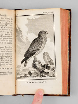 Histoire naturelle des Oiseaux (18 Tomes - Complet). BUFFON, Georges Louis Leclerc Comte de