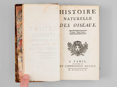 Histoire naturelle des Oiseaux (18 Tomes - Complet). BUFFON, Georges Louis Leclerc Comte de