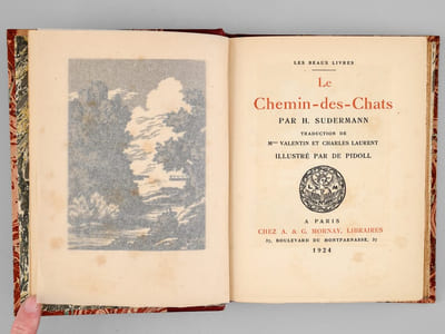 Le Chemin-des-Chats