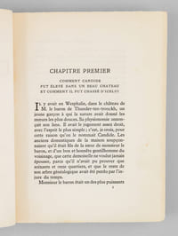 Candide ou l'Optimisme