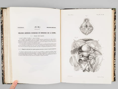Atlas d'anatomie descriptive du corps humain. Quatrième partie. Appareil génito-urinaire, organes de la respiration.. BONAMY, Constantin ; BROCA, Paul ...