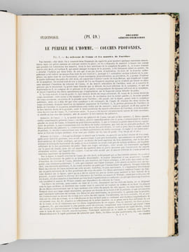Atlas d'anatomie descriptive du corps humain. Quatrième partie. Appareil génito-urinaire, organes de la respiration.. BONAMY, Constantin ; BROCA, Paul ...