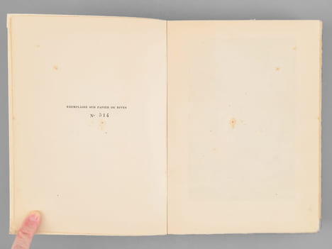 Le Nabab. Moeurs parisiennes. DAUDET, Alphonse ; (ROUSSEAU, Pierre)