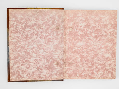 Les Dimanches de la Comtesse de Narbonne. FELLOWES, Daisy ; VERTES, Marcel ; [ DECAZES DE GLUCKSBERG, Marguerite ]