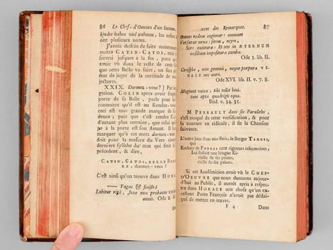 Le Chef-d'oeuvre d'un Inconnu. Poëme heureusement découvert & mis au jour, avec des Remarques savantes & recherchées, par M. le Docteur Chrisostome ...