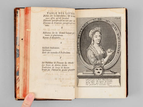 Le Chef-d'oeuvre d'un Inconnu. Poëme heureusement découvert & mis au jour, avec des Remarques savantes & recherchées, par M. le Docteur Chrisostome ...