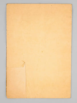 Les Peuplades de l'Oubangui-M'Bomou à l'époque des missions Liotard et Marchand (1891-1901). BOBICHON, Henri