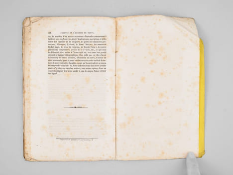 L'hérésie de Dante démontrée par Francesca de Rimini devenue un moyen de propagande vaudoise et Coup d'oeil sur les romans du St-Graal [ Notamment sur ...