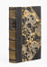 Ce qu'on n'ose pas dire [Edition originale ]. SAULIERE, Auguste ; (SOMM, Henri)
