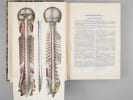N&eacute;vrologie et esth&eacute;siologie. Trait&eacute; et iconographie du syst&egrave;me nerveux et des organes des sens de l'homme avec leur mode de pr&eacute;paration. Atlas [ Atlas ...