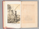 Nil et Danube. Souvenirs d'un touriste. Egypte, Turquie, Crim&eacute;e, Provinces Danubiennes. DE BOIS-ROBERT, M. J. D. ; (ARNOUT, J. B. p&egrave;re ; CAREY)