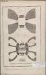 GRAVURE 18EME SIECLE - PLANCHES ORIGINALES DE L'ENCYCLOPEDIE DIDEROT D'ALEMBERT IN FOLIO - N&deg;6 - GLACES - PLANS DU FOURNEAU AU REZ DE CHAUSSEE ET A LA ...