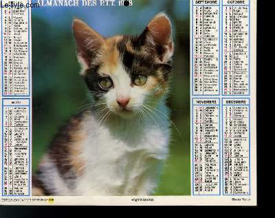 CALENDRIER - ALMANACH DES P.T.T. - REGARD DE CHAT - PERSAN CREME. COLLECTIF