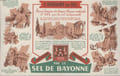 BUVARD - L'HISTOIRE DU SEL. SEL DE BAYONNE