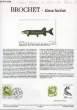 DOCUMENT PHILATELIQUE OFFICIEL N°30-90 - NATURE DE FRANCE : BROCHET ESOX LUCIUS (N°2663 YVERT ET TELLIER). LARRIVIERE