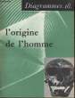 Diagramme N° 18 - L'origine de l'homme. ROLAND VUILLAUME