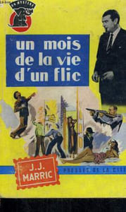 UN MOIS DE LA VIE D'UN FLIC