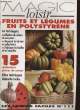 MAGIC LOISIR Fruits et légumes en polystyrène. LES LOISIRS FACILES No. 111. COLLECTIF
