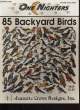 ONE NIGHTERS 85 blackyard birds. NON CONNU