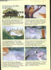 LES ANIMAUX DU BOIS DE QUAT'SOUS. 9. SAUVE QUI PEUT !. COLLECTIF.