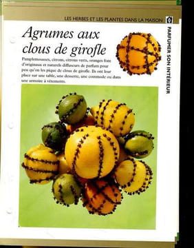 LOT DE 60 FICHES - LES HERBES ET LES PLANTES DANS LA MAISON - CULTIVER LES HERBES ET LES PLANTES - LE REPERTOIRE DES HERBES ET DES PLANTES - SOIGNER ...