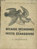 BECASSE, BECASSINES ET PETITS ECHASSIERS. J. OBERTHUR