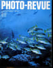 PHOTO REVUE - PRENDRE LE SON EN FILMANT - SAFARIS PHOTOS SOUS-MARINS.... COLLECTIF