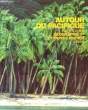 AUTOUT DU PACIFIQUE. PREVOT