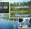 HAUTE-SAINTONGE. COLLECTIF