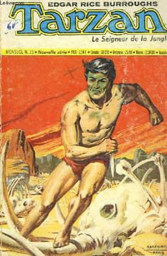 TARZAN - LE SEIGNEUR DE LA JUNGLE - MENSUEL N°15. BURROUGHS EDGAR RICE