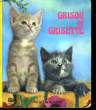 GRISOU ET GRISETTE. COLLECTIF