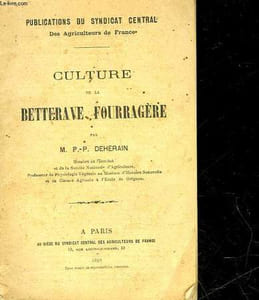 CULTURE DE LA BETTERAGE FOURRAGERE