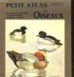 PETIT ATLAS DES OISEAUX - IV - BECASSEAUX, GOELANDS, CANARDS, HERONS, IMPENNES, RATITES. DELAPCHIER L.
