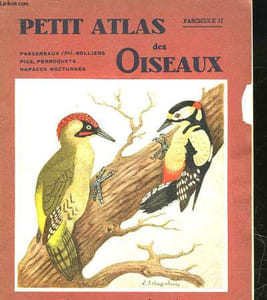 PETIT ATLAS DESOISEAUX - II PASSEREAUX (FIN) - ROLLIERS, PICS, PERROQUETS, RAPACES NOCTURNES