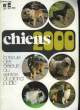 CHIENS 2000 - N° 2. COLLECTIF