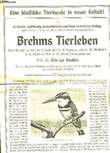BREHMS TIERLEBEN. STRAFFEN OTTO ZUR