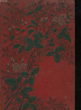 VOYAGE A CEYLAN. HOFFMANN FRANZ