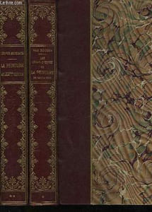 LA PEINTURE AU 19° SIECLE - 2 TOMES